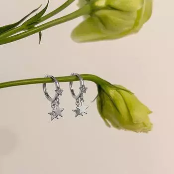 Женские простые легкие роскошные серьги-пряжки в форме пентаграммы с микро-инкрустацией циркония, серьги-гвоздики Niche Design