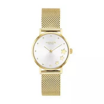 Женские золотые часы Coach PERRY 14503521 золотой