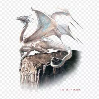 Женский наряд Dragon Rider Dragon Rider, термопереносная печать, виниловые нашивки, наклейки для одежды, аппликации «сделай сам», моющиеся нашивки