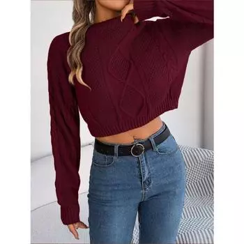 Женский осенне-зимний повседневный однотонный свитер с длинными рукавами и переплетенными нитями, свитер без воротника S бордовый