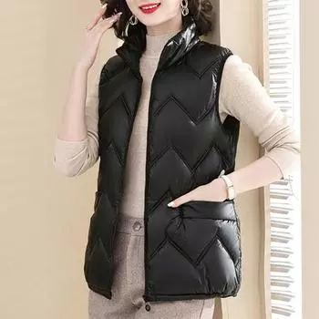 Женский зимний жилет, пальто, большой размер, воротник-стойка, однотонный, на молнии XXXL чёрный