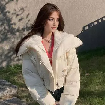 Женское зимнее хлопковое пальто с высоким воротником, защитой шеи, ветрозащитное, с длинными рукавами, укороченное, утолщенное, однобортное, с эластичным подолом, пальто S бежевый