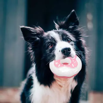 Жевательная игрушка для собак, жесткие забавные скрипучие игрушки, интерактивный игровой пончик для маленьких и маленьких жёлтый