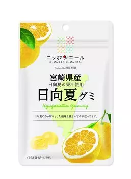 Жевательная резинка Zennoh Hyuganatsu из префектуры Миядзаки 40 г x 10 пакетиков