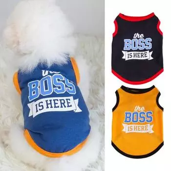 Жилет для домашних животных, милая летняя футболка с буквенным принтом для собак, уличная ультратонкая дышащая одежда для двуногих домашних животных для маленьких домашних животных XS оранжевый