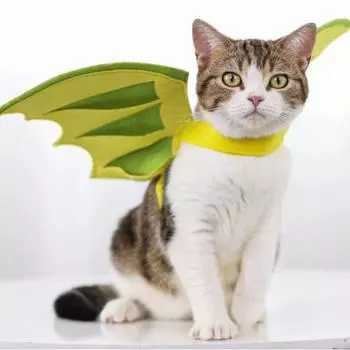 Жилет для косплея кота Крылья динозавра Хэллоуин Рождество Преображение Одевание Украшение для котенка Аксессуары для домашних животных зелёный