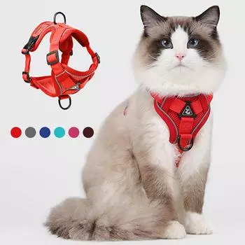 Жилет для шлейки для кошек с набором поводков. Регулируемая нейлоновая шлейка для домашних животных. Светоотражающая дышащая сетка. Нагрудные ремни для тренировок домашних животных для маленьких и средних кошек. XL