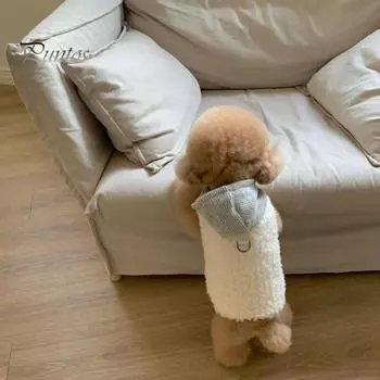 Жилет на передние лапы для щенка, пальто с капюшоном, толстый бархатный жилет с D-образным кольцом, теплая зимняя одежда для маленьких и средних собак, кошек M зелёный