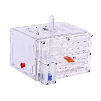 Жилище Гнездо Среда обитания Образовательный Мастер-класс Дисплейная Коробка Инкубатор для Дня защиты детей Настольный