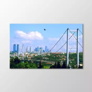 Живопись Босфорского моста