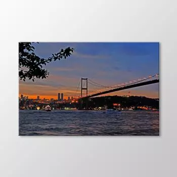 Живопись Босфорского моста