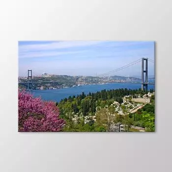 Живопись Босфорского моста