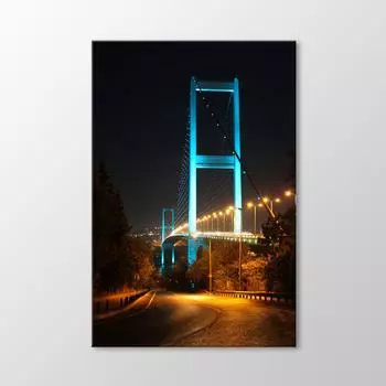 Живопись Босфорского моста