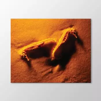 Живопись Морских Коньков