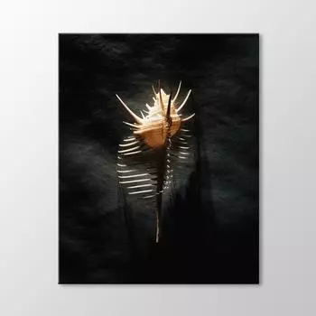 Живопись Морской Ракушки