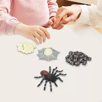 Животное Цикл роста Фигура Проект школы Монтессори Реалистичная модель этапа обучения