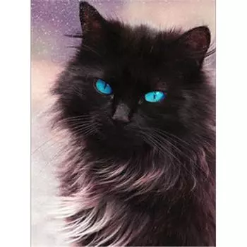 Животное Кот Полный круглый дрель Алмазная картина Кристалл 5D DIY Алмазная вышивка 20X30CM