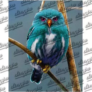 Животное Птица Алмазная вышивка 5D DIY Алмазная картина Вышивка крестом Наборы изображений Полный круглый бриллиант 20X30