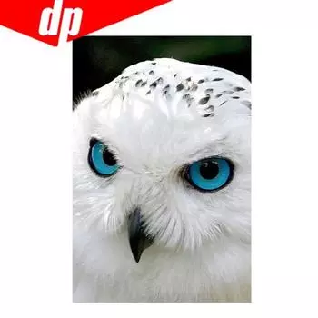 Животное Сова Алмазная вышивка 5D DIY Алмазная картина Вышивка крестом Изображение Полный круглый бриллиант 20X30