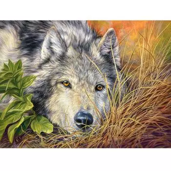 Животное волк Diy Алмазная картина Вышивка крестиком Полный круглый Алмазная вышивка 20X30CM