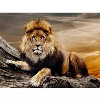 Животные Алмазная картина Красочные животные Изображение Стразы Алмазная вышивка 20X30CM