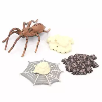 Животные Цикл роста Жизненный цикл Модель Обучающая обучающая модель Игрушка для детей №1