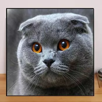 Животные DIY 5D алмазная живопись милый синий кот Алмазная вышивка полный набор аниме наборы для вышивки крестом домашний декор подарок ручной работы Round 25x25cm