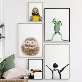 Животные Картина Милый Попугай Ежик Лягушка Плакат и Картина Детская Комната Декор Стены Принты Гостиная Спальня Без Рамки 21*30cm No Frame