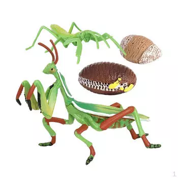 Жизненный цикл, Классные принадлежности, 4 части, Учебные пособия, Возраст 5+