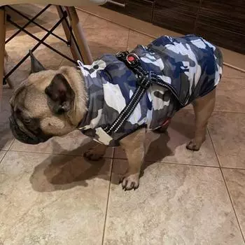 Зимнее пальто для домашних животных Одежда для собак Зимняя одежда Теплая одежда для собак для маленьких собак Рождественское пальто для больших собак Зимняя одежда Чихуахуа Одежда для французского бульдога 14#