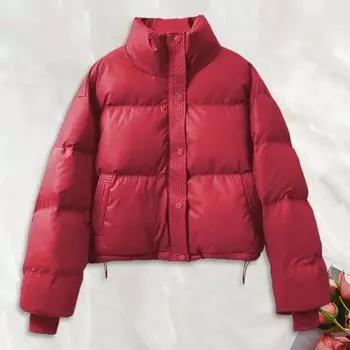 Зимнее пуховое пальто Утолщенное с подкладкой Высокий воротник Карманы Однобортный Ветрозащитный Длинные рукава Сохранение тепла Теплый Повседневный S кофейный