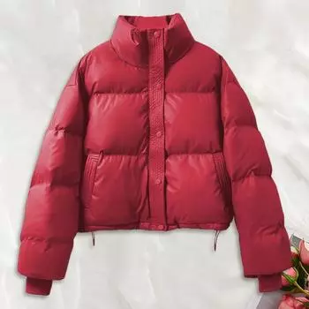 Зимнее пуховое пальто Утолщенное с подкладкой Высокий воротник Карманы Однобортный Ветрозащитный Длинные рукава Сохранение тепла Теплая повседневная верхняя одежда C S вино красного