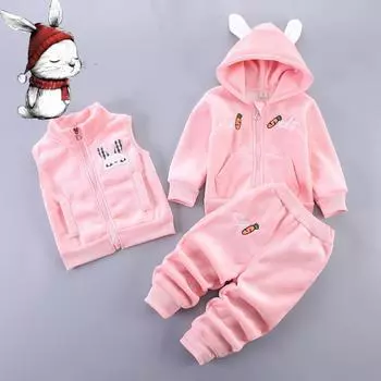 Зимние комплекты одежды для девочек с рисунком кота, детский толстый теплый костюм со штанами, детский спортивный костюм из бархата, жилет с капюшоном для малышей, 3 шт., 0-5 лет 80cm розы красного