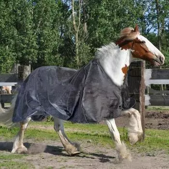 Зимние одеяла для лошадей, флисовые, теплые, для ухода за лошадью, термоодеяла для упражнений с лошадью