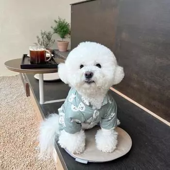 Зимний комбинезон для собак, теплая куртка, одежда для собак, щенок, пальто для собак, чихуахуа, французский бульдог, бишон, четыре ноги, одежда для домашних животных, одежда XS зелёный