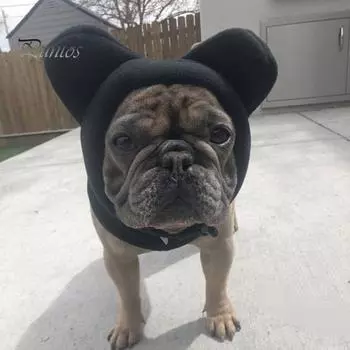 Зимняя флисовая шапка для собак, теплый головной убор для собак, чехол для ушей, регулируемый капюшон для собак, ветрозащитный шарф для шеи для щенков маленьких и средних пород S чёрный