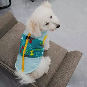 Зимняя куртка для собак, теплая одежда для собак маленьких и средних пород, одежда для чихуахуа, мягкие костюмы для щенков, пальто для щенков XS синий