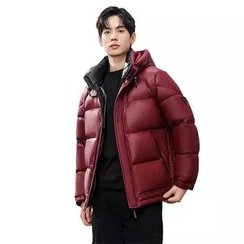 Зимняя новая куртка с капюшоном, мужская утолщенная короткая молодежная арктическая куртка-пуховик для активного отдыха M