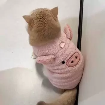 Зимняя одежда для кошек и собак с пряжкой, плюшевый свитер с принтом в виде милой свиньи для маленьких собак, жилет для щенков померанского шпица, чихуахуа, куртка XL