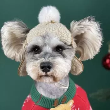 Зимняя шапка для собак сохраняет тепло, стильная мягкая текстура, удобная яркая дышащая милая универсальная шапка для домашних животных S коричневый