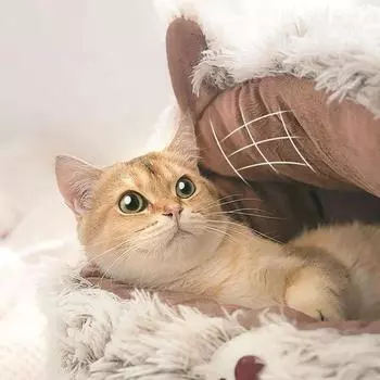Зимняя теплая кровать для кошек в форме кошки, мягкая, удобная, износостойкая, полузакрытая, кошачий домик, товары для домашних животных