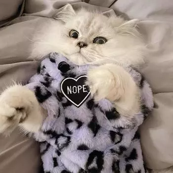 Зимняя толстая плюшевая одежда с леопардовым принтом для домашних животных и бархатом для сохранения тепла Французская махровая ткань Даже кошка Голубая кошка Английская короткая одежда для кошек с хлопковой подкладкой S
