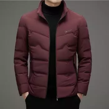 Зимняя утолщенная мужская пуховая куртка свободного покроя большого размера для молодых мужчин с воротником-стойкой, короткая модель M