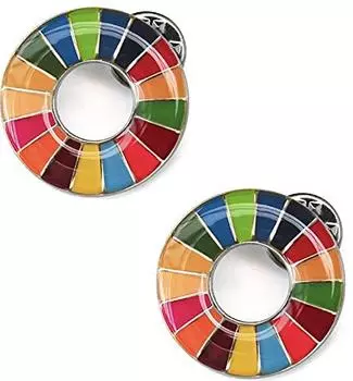 Значок SDGs официальной системы штаб-квартиры ООН 25 мм, серебряный, с закругленной отделкой, значок SDGs, значок SDGs, идеально подходит для шляп и сумок, в комплекте 6 шт.