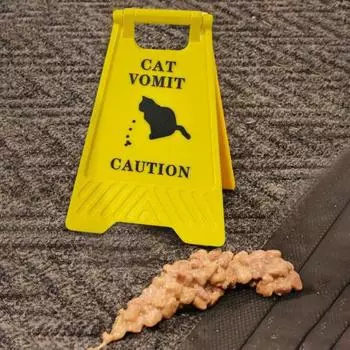 Знак «Рвота кошки» 4-дюймовый черный силуэт кошки, предупреждающий знак «Рвота кошки» Знак «Осторожно, рвота кошки» для владельцев кошек, дома или в местах содержания домашних животных A