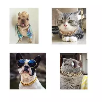 Золотая нержавеющая сталь P-образная цепочка с хромированными краями для домашних собак. Сильный ошейник для больших собак с защитой от укусов.