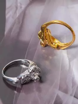 Золотое или серебряное кольцо для пары в форме любовника.