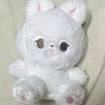 Зонгкоми, кукла, выбранная семнадцатью