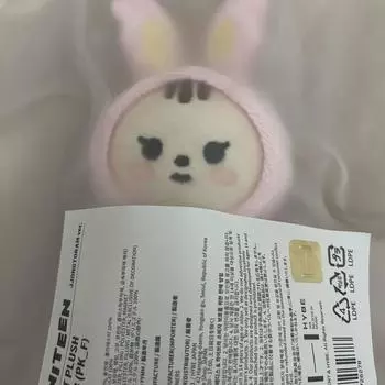 Зонгторам выбран Seventeen Minitteen