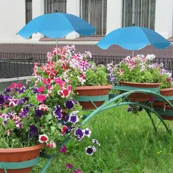 Зонт для растений на открытом воздухе, регулируемый по высоте зонт с колышком, садовый зонт, защищающий растения от солнца, для горшечных растений, цветников B